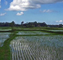 9. Rang: Indonesien, 53,7 Millionen Passagiere 2011, Wachstum 11 Prozent - Resifeld.