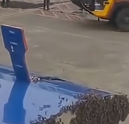 Bienenschwarm an der Frachttür: Der Flug konnte am 7. Juli erst eine Stunde später starten.
