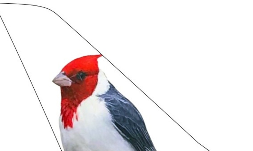 ticker-jetsmart