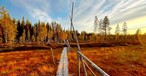 Jauhojaervi See im Herbst mit Cranberrys
