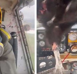 Wenn ein Kondor im Cockpit baumelt