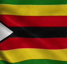 8. Zimbabwe - 69 Millionen Dollar, blockiert seit 84 Monaten.