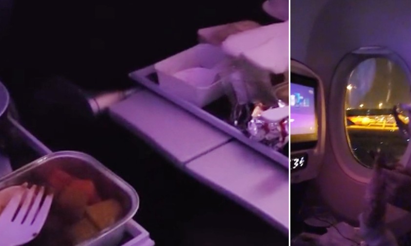 Volle Essenstablets: Auch noch auf dem Tisch, als der Jet am Boden ist.