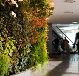 Passagierin: Wer bei Qantas etwas für die Umwelt tut, erhält etwas zurück.