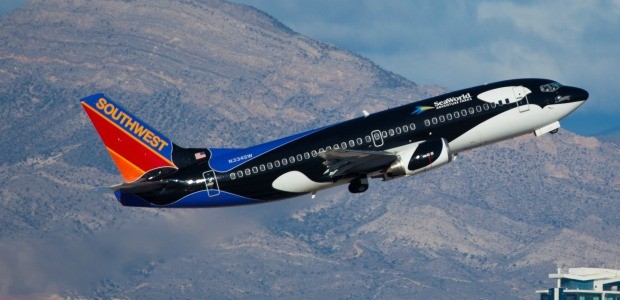 Bereits mehrere Airlines haben dem Druck von Tierschützern nachgegeben und beendeten ihre Zusammenarbeit mit Sea World