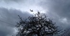 Flugzeug: Nicht immer die dreckigste Alternative.