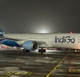 Dreamliner in Indigo-Farben: Eine Übergangslösung. 