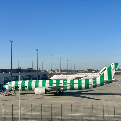 condor airbus a33 900 d anra frankfurt fra t3