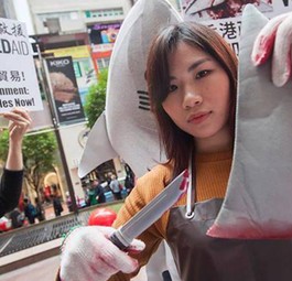 Tierschützer protestieren gegen die Verwendung von Haiflossen: Der Fischfang ist nicht nachhaltig.
