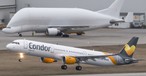 Airbus A321 von Condor: Die Airline stockt die Flotte auf.