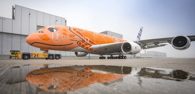 ... orangene A380-Schildkröte.