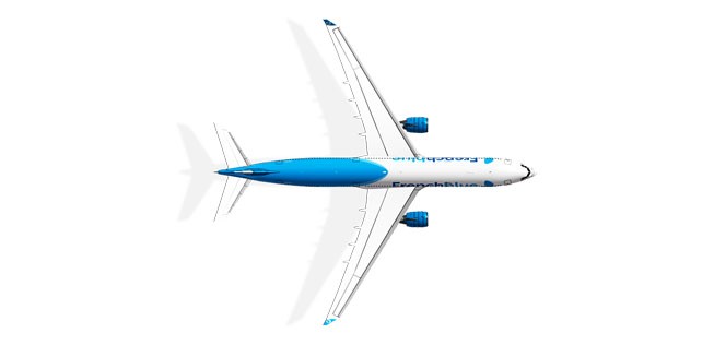 Design von French Blue: Die Flotte soll vorerst vier Flieger umfassen.