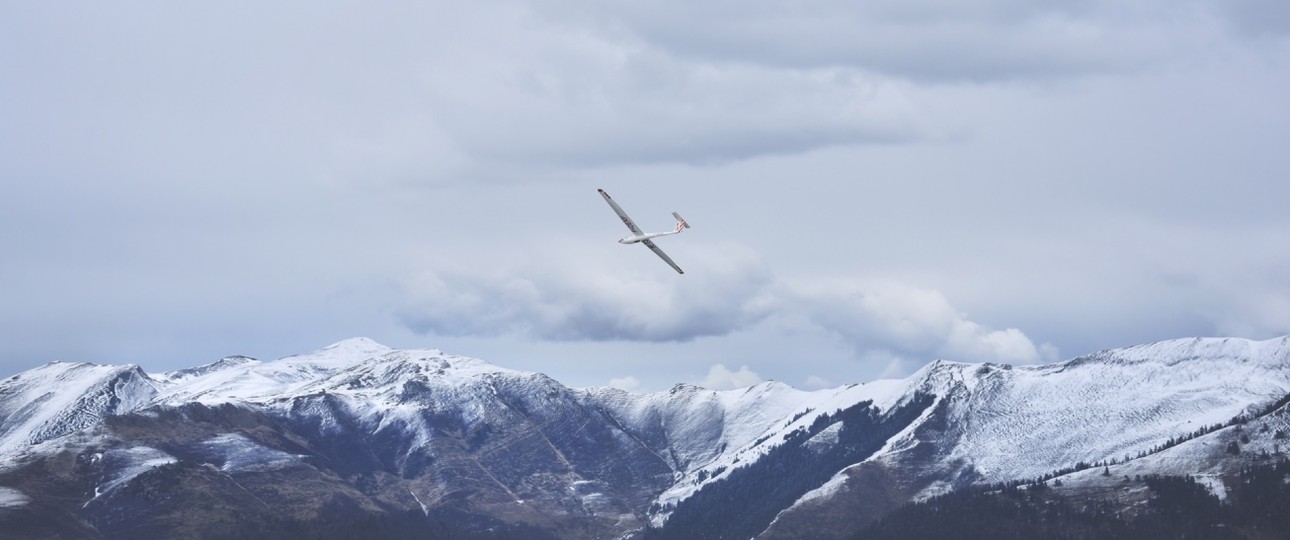 Segelflieger: Winglets haben inzwischen nur noch Leistungsflieger.