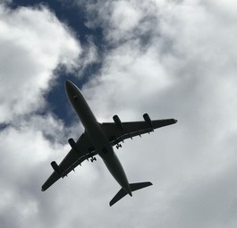 Airbus A340 von Lufthansa: Nicht auf allen Langstrecken wird der Service ausgebaut.