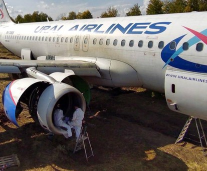 Airbus A320 im Weizenfeld: Die Airline trug laut dem Piloten eine Mitschuld.