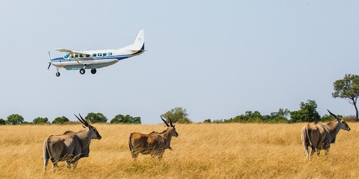 <div><span lang="DE">Cessna 208 im Anflug auf einen Landestreifen inmitten der afrikanischen Savanne. Derart robuste Maschinen sind heute das Rückgrat luftgestützter medizinischer Versorgung südlich der Sahara.
</span></div>