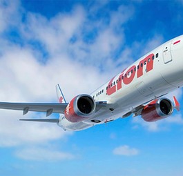 Boeing 737 Max von Lion Air: Eine Maschine des Typs Max 8 stürzte am 29. Oktober in Indonesien ab.