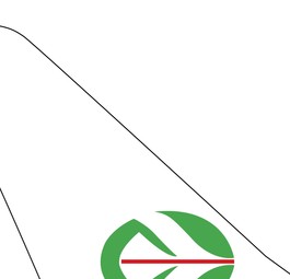 ticker doemstic airlines