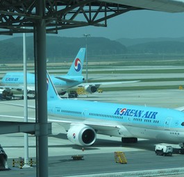 Flieger von Korean Air in Seoul: Wie kam die Patrone ins Flugzeug?