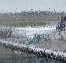 Flughafen Bremen: Nimmt Lufthansa dies Frankfurt-Flüge wieder auf?