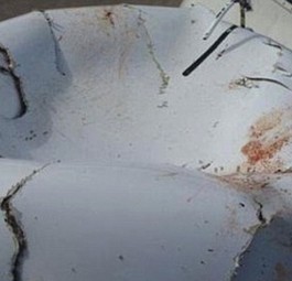 Blut- und Federreste kann man auf der ramponierten Flugzeugnase noch erkennen.