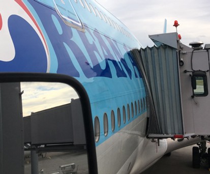 Korean-Air-Flieger: Der Pilot wollte einen Begrüßungsdrink.
