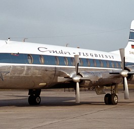 Wie Condor zu ihrem Namen kam