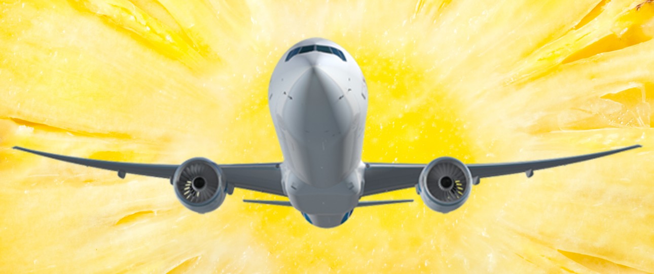 Grafik einer Boeing 777 von Air Austral: Cargo-Einsatz.