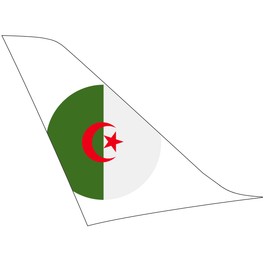 Militärflugzeug stürzt ab - über 100 Tote in Algerien