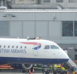 Mann auf Flugzeug: So wollte er den Abflug verhindern.