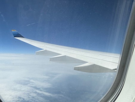 Blick aus dem Fenster: Discover Airlines fliegt mit AIrbus A330.