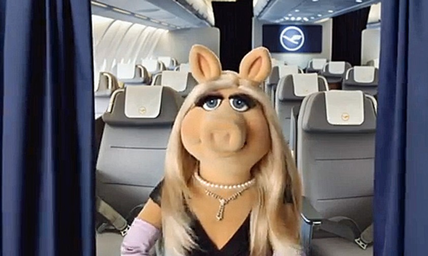 Miss Piggy: Großer Auftritt an Bord.