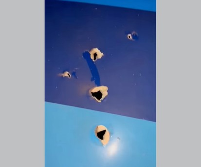 Warnung: Das Video enthält Szenen, die für einige möglicherweise verstörend wirken könnten.