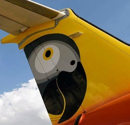 Heck eines Fastjet-Fliegers: Papagei als Logo.