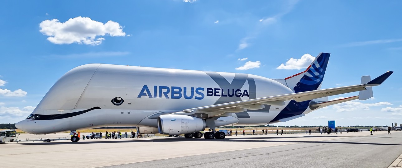 Beluga XL: Der Flieger mit dem riesigen Rumpf transportiert für Airbus Flugzeugteile.