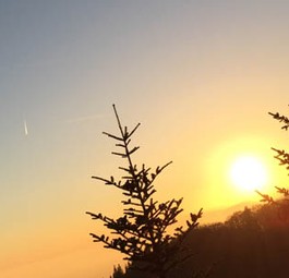 Kondensstreifen von Fliegern: Ein plötzliches Grounding ist ärgerlich.