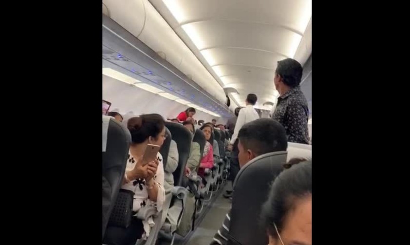 Auch Tauben wollen mal fliegen