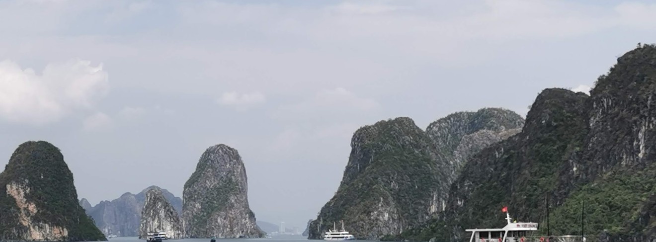 Mit tropischem Wald bedeckte Kalkberge in der Halong Bucht.