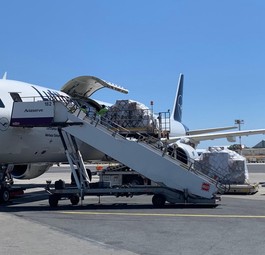 ... betreibt die Flugzeuge für Lufthansa Cargo. In den Fliegern ...