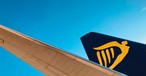 Tailfin of a Ryanair aircraft: They operate a large fleet of solely 737 aircraft