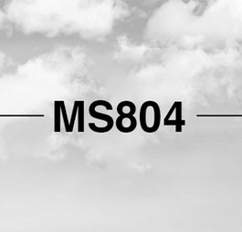 Trauerbild von MS804: Gab es einen Kampf im Cockpit?