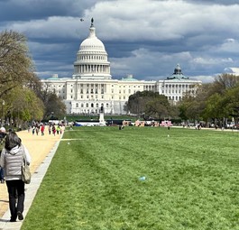 Das Capitol: Zentrum der US-Demokratie.