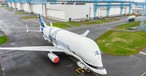 Das zweite Exemplar des Beluga XL bei Airbus in Toulouse.