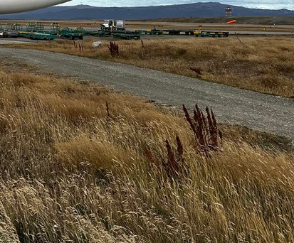 Wo auf der Welt landen Sie im Mai?