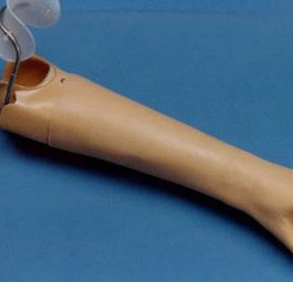Armprothese (Symbolbild): Der Flugkapitän hatte sie nicht gut genug befestigt.