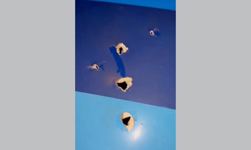 Warnung: Das Video enthält Szenen, die für einige möglicherweise verstörend wirken könnten.