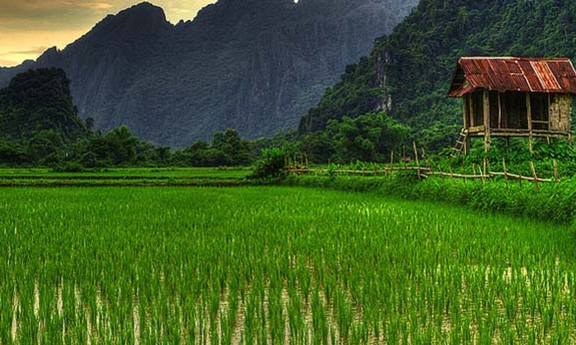 Wo auf der Welt landen Sie im Januar?
