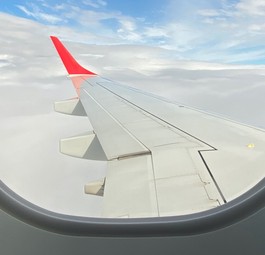 Blick aus einem AUA-Flieger: Kleineres Angebot als erhofft.