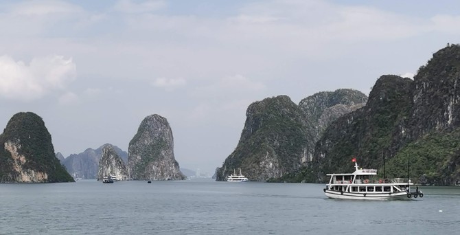 Mit tropischem Wald bedeckte Kalkberge in der Halong Bucht.