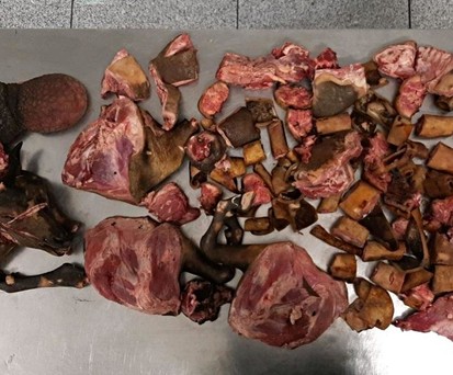 zoll muenchen ziege fleisch